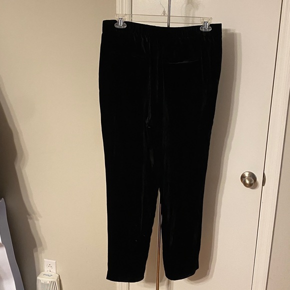 Vince Velvet Pants - Picture 6 of 10